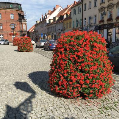 Świebodzice